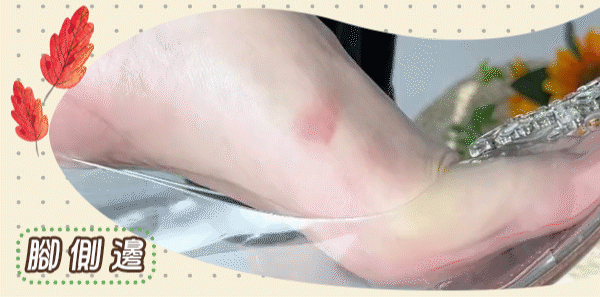 多用途gif 拷貝.gif