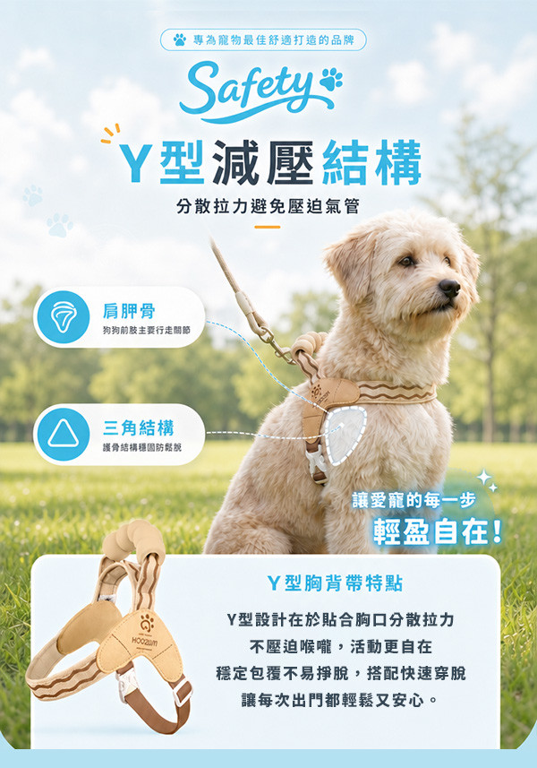 Y型.jpg