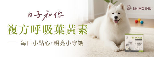 《複方呼吸葉黃素》