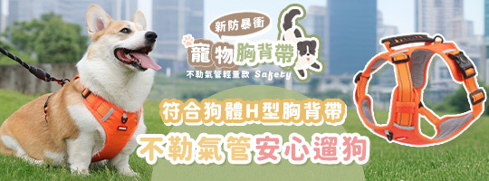 【Safety】新防暴衝寵物胸背帶