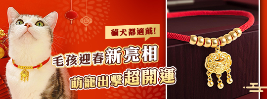 寵物福運金鎖項圈